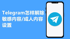 Telegram怎么解除敏感内容限制2024-电报官网