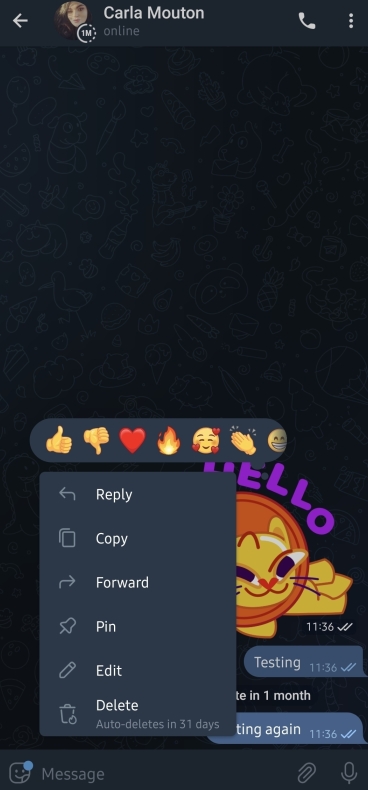 2026年电报PC端更新了什么?立即下载官方最新版 1 2026年电报PC端更新了什么?立即下载官方最新版